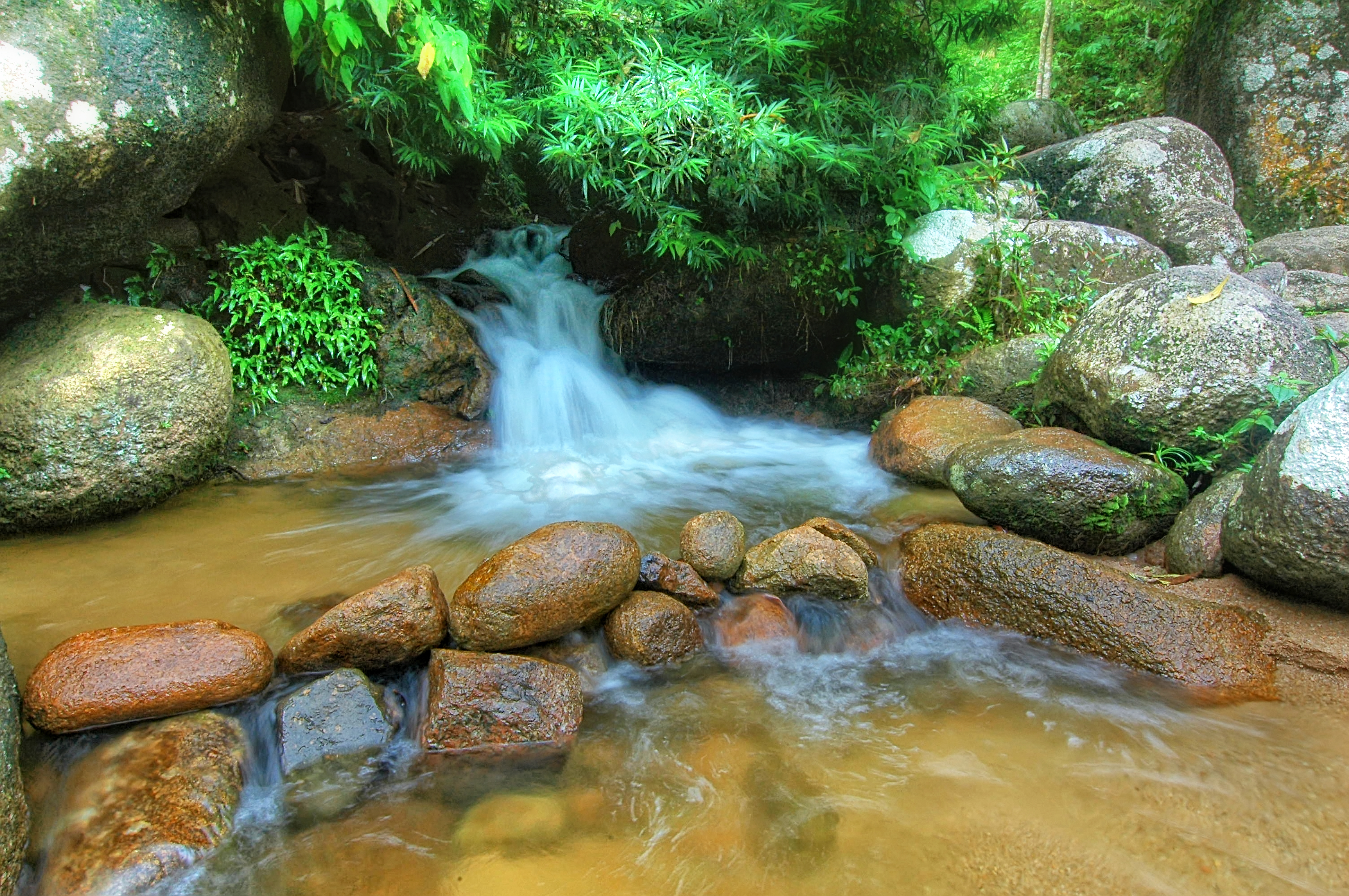 Taman Eko-Rimba Lata Jarum 